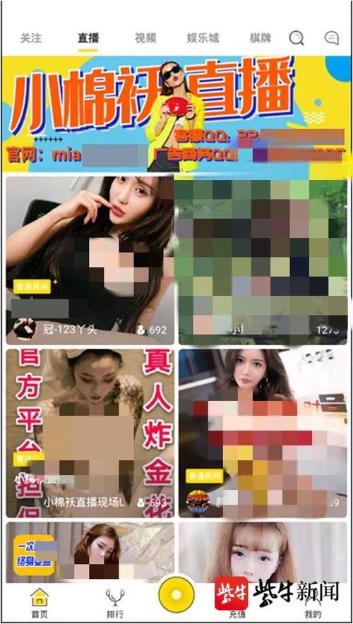 天蝎座成人app直播,揭秘神秘天蝎座的成人世界互动